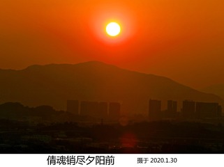 倩魂销尽夕阳前