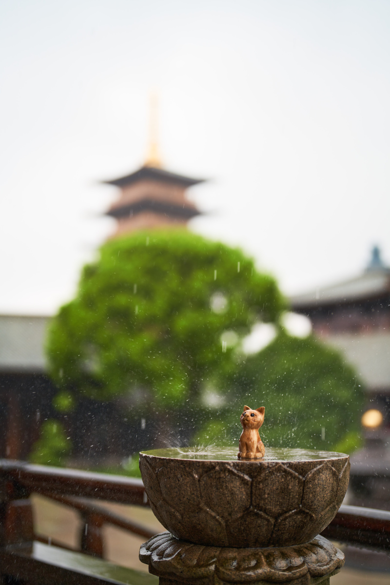 下雨天的上海宝山寺全国唯一的鲁班建筑奖寺庙 - nearqh - 图虫