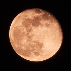 1219830