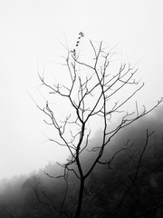 14EAECF1-7441-4F96-B109-92D9CD389EFB/L0/001