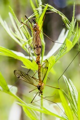 _DSC5205