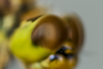 _DSC7947