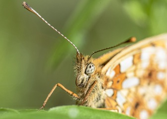 9779