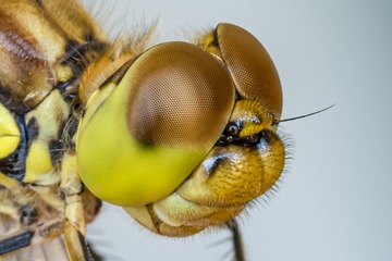 _DSC7943