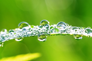 _DSC7882