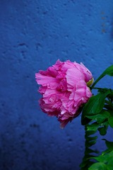 18715