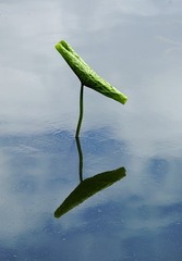 125538