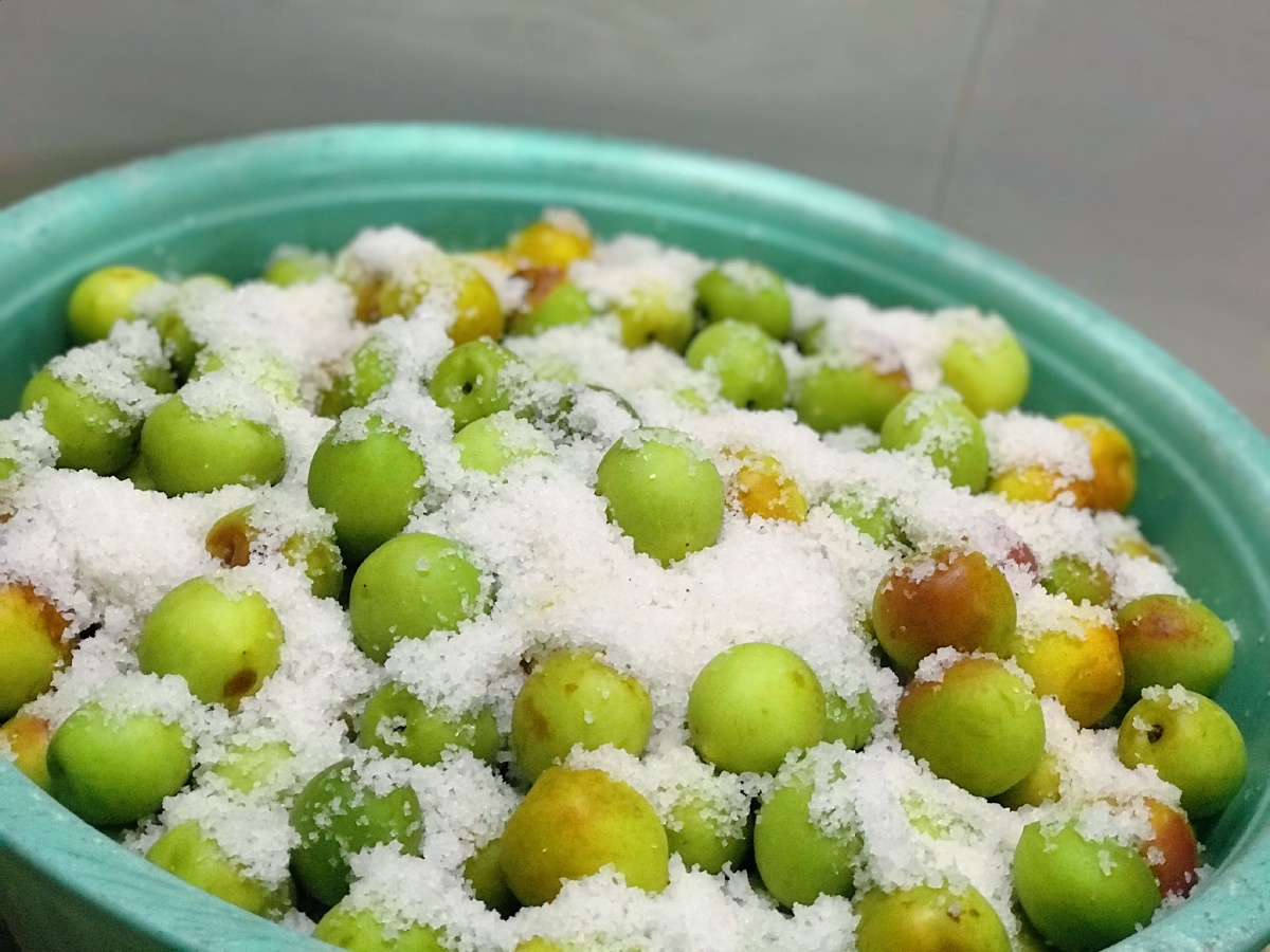 每个季节总有特定的产物青梅——腌梅