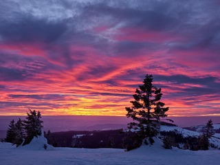 _DSC4113
