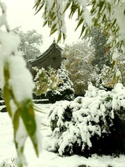 北国初雪