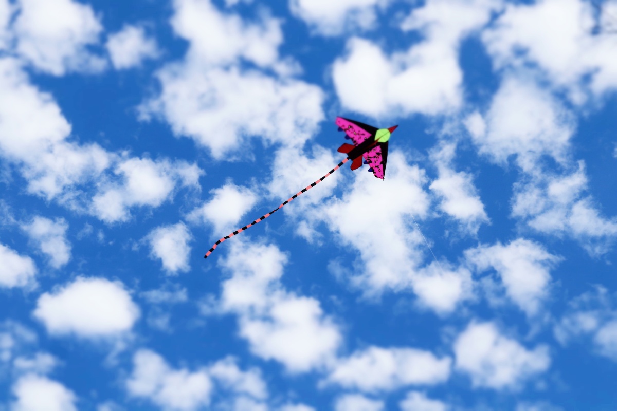 去亲手放飞一只风筝09