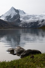 1006511