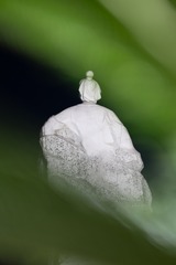 1008148