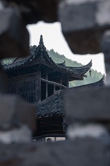 1007465