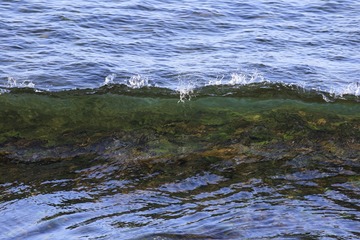 20100821(002)