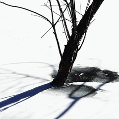 9C8F003F-D711-4749-BA8E-6735EBE7B8D0/L0/001