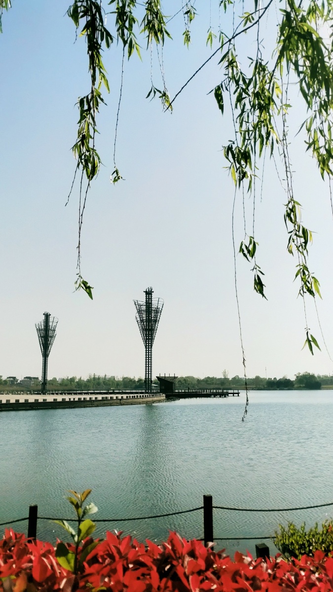 海安七星湖生态园的早晨手机摄影