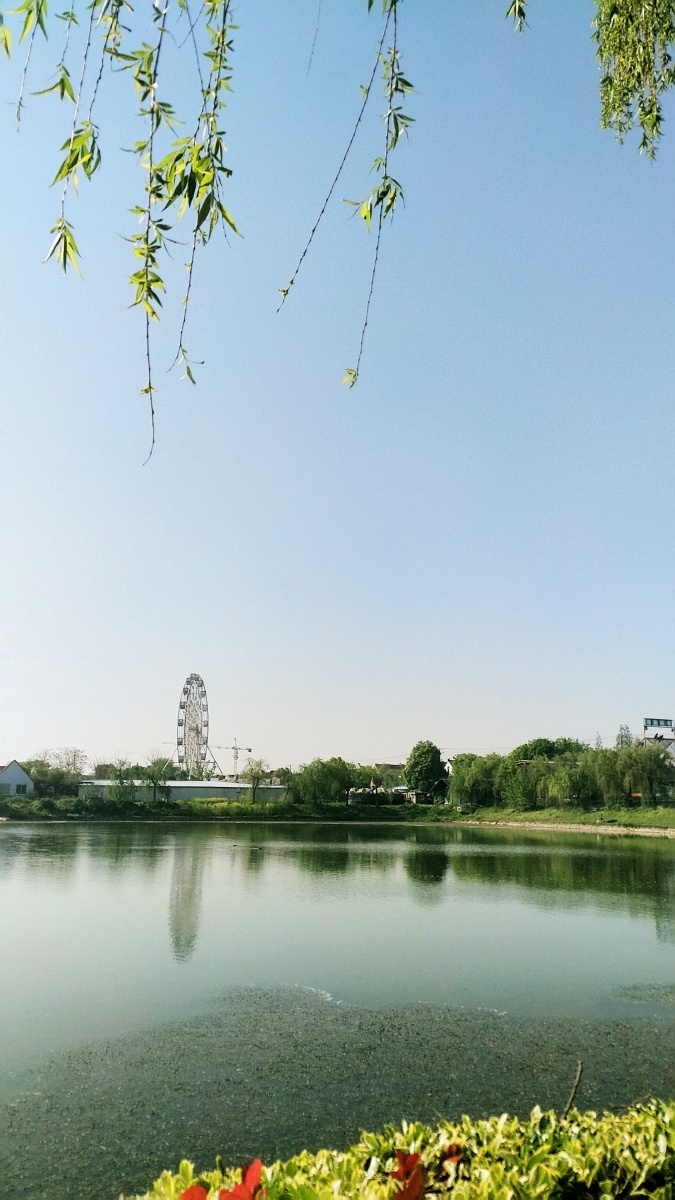 海安七星湖生态园的早晨手机摄影