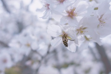E73A480F-3CD5-4227-8B06-24F8646E2892/L0/001