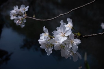 B34CF69B-1DDB-40F2-874E-560F3E52F1D2/L0/001