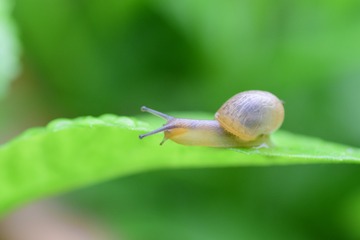 965349