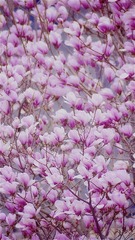 90008317-4F59-48D0-9B14-23FB9941B7A8/L0/001