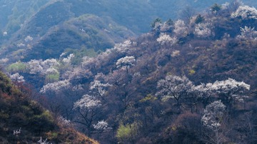 09C7975C-AE6F-4819-BD30-C8B267E76E03/L0/001