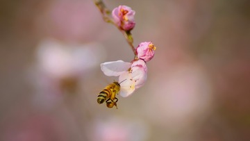 F8BD9506-0C7D-45BA-86B9-F4D528FE5E33/L0/001