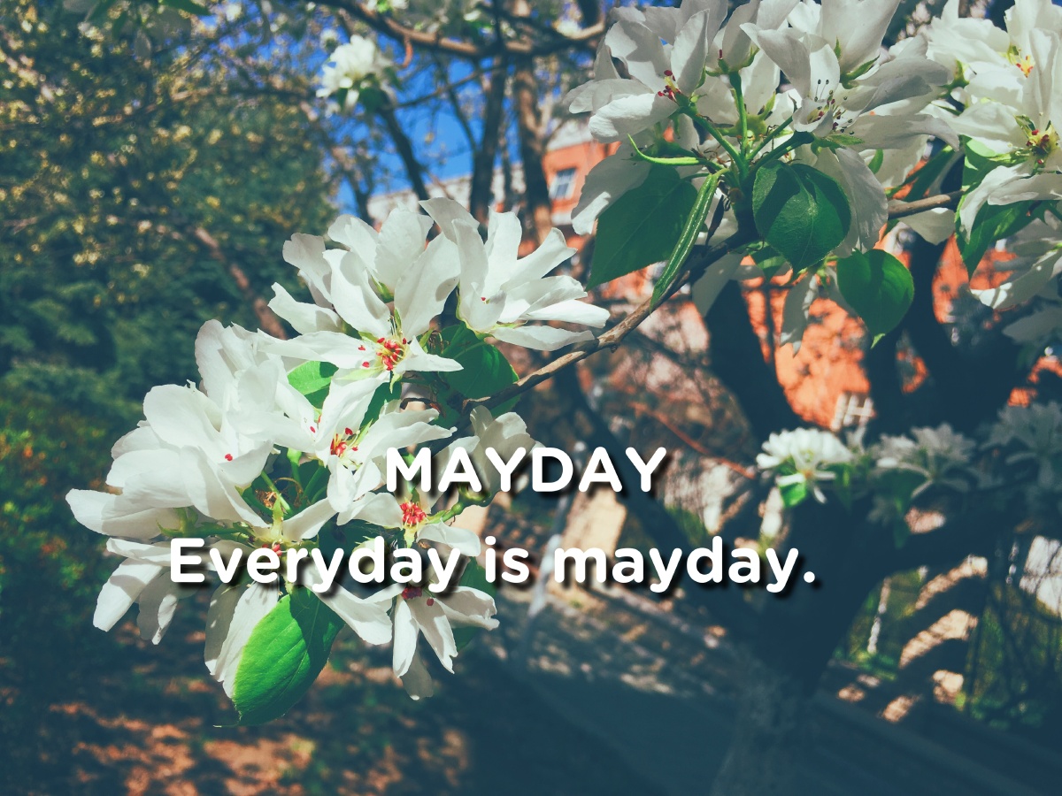 mayday - 少年他_ - 图虫