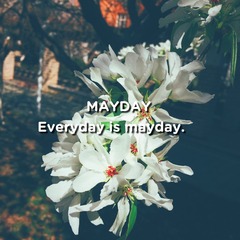 Optional(