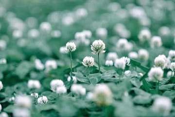 3AAB1061-80FE-427D-A4AE-89F63C89766F/L0/001