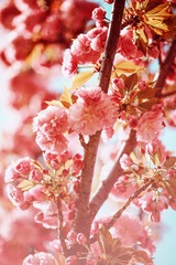 E6470E27-6C6F-46A6-BDC0-04F13E12E2BA/L0/001