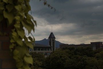 1309591