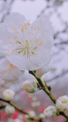 160040