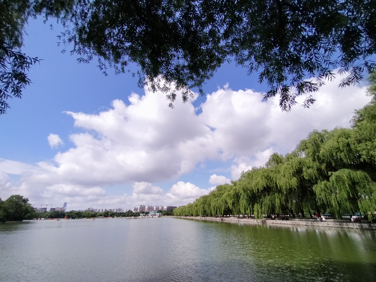 闪迪不负每一份热爱摄影大赛我爱这蓝天白云沈阳北陵风光一瞥