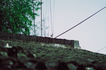 275027