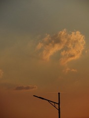 1000186351