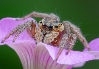 IMG_7283av