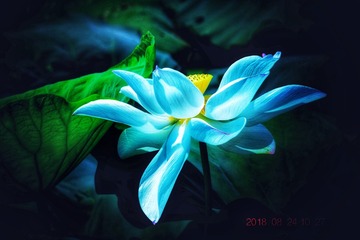 001