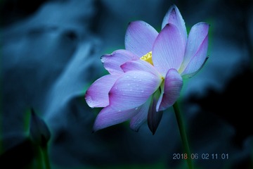 001