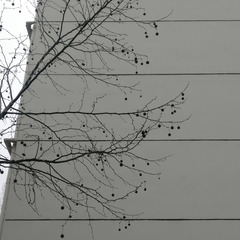 336027