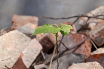 1018130