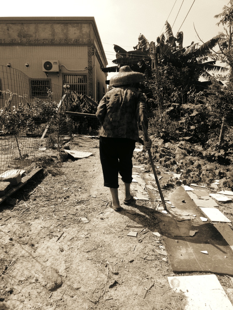 今天和奶奶一起砍柴火