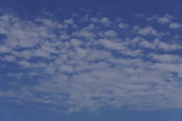 80B33A5C-DADE-445A-A7F4-B000ACCD7AF5/L0/001