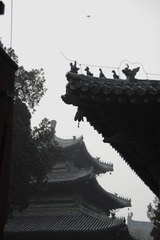 08ADBCFA-2F6A-42B5-8C28-8C82BC99C8BA/L0/001