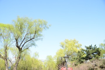 D106D111-5F1B-4409-84F8-312F323FADFB/L0/001