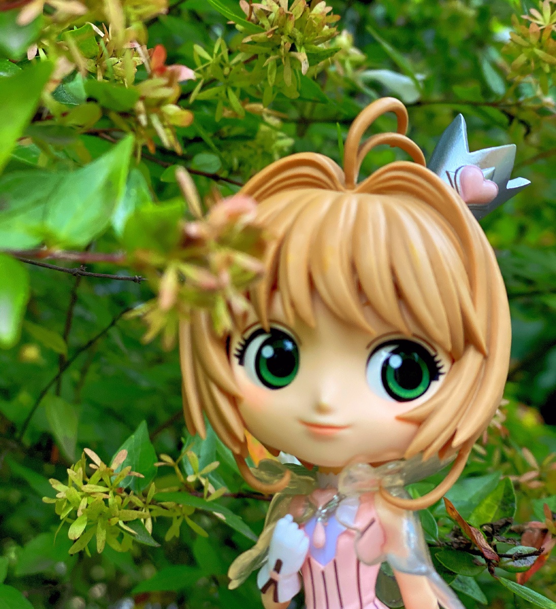 生机勃勃的绿色夏天 - 咪酱的娘 - 图虫