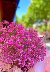 749591ED-71CA-4D5A-9BC1-3A9A9B9C14F3/L0/001