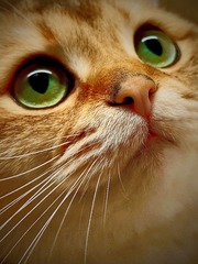 31F64883-6E1A-45A7-9345-306CB1EA8E6F/L0/001