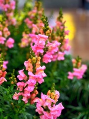 13C84724-ECB4-4E33-BD0F-4C47D44317A4/L0/001
